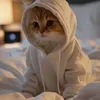LeTaurus_19 - @letaurus_19 - TikTok