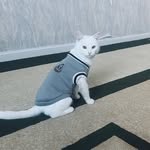 Daylethan - @daylethan54 - Instagram