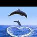 Letha Fox - Facebook