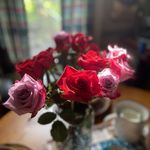 Letha Barnes Grant - @bbmom5010 - Instagram
