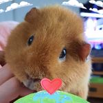Jackie Lethaby - @lethabyjackie - Instagram
