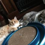 Letha Lampkin - Facebook