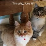 Letha Lampkin - @llampkin20 - Instagram