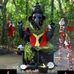 Lekha Anil - Facebook