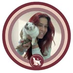 Veterinária a Domicílio | M.V Letícia Amaro - @leticiaamaro.vet - Instagram