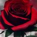 Leticia Antonio - Facebook