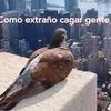 Leticia Charles - @leticiacharles1 - TikTok