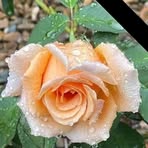 Leticia Egan - Facebook
