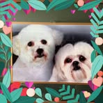 Letticia Fowler - Facebook