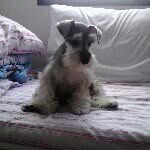 Letty - @leticia_hatchi - Instagram