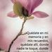 Leticia Maya - Facebook