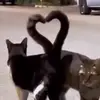 Leticia Maya - @damianpepe12 - TikTok