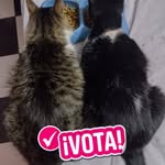 Leticia Monroy - @leticia.monroy.9655 - Instagram