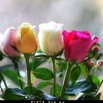 Leticia Padron - Facebook