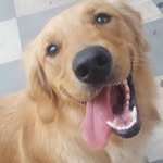 Leticia Plata - @leeticiaplt - Instagram