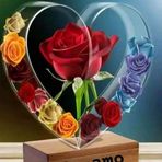 Leticia Pop - Facebook