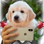 Leticia Pop - @leticia.pop.399 - Instagram
