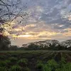 Leticia Solano - @leticia.solano488 - TikTok