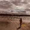 Leticia Solis - @leticiasolis - TikTok