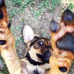 Leticia Tucker - @methootec - Instagram
