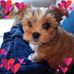 Letitia Bell - Facebook