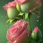 Letitia Collins Joe - Facebook