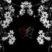 Letitia Lockwood - Facebook