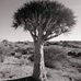 Letitia Muller Schutte - Facebook