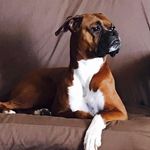 Letitia Walker - @letitia_a_walker - Instagram