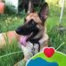 Letitia Walker - Facebook