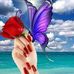 Letty Torres - Facebook