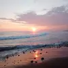 Lety Carrillo - @lety.carrillo - TikTok