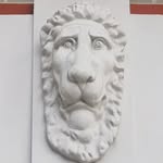 🦁 Московские Львы - @moscowlev - Instagram