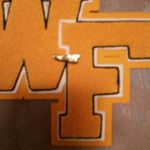 Levester Williams - @levesterwilliams411 - Instagram