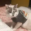 Levi Anthony - @levimaldonado1972 - TikTok
