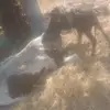 Levi Anthony - @levi.anthony2 - TikTok