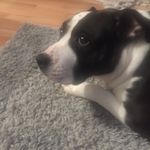 Levi Baker - @levi.baker.3192 - Instagram
