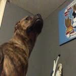 levi barton - @_levi_barton_05 - Instagram