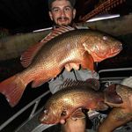 Levi Bell - @levibell_fishing - Instagram