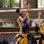 Levi Bellini - @levi_bellini - Instagram