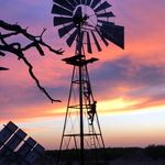 Levi  Bishop - @levi_bishop_ - Instagram