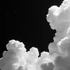 Levi Bishop - @levi.bishop68 - TikTok