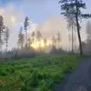 Levi_Nicole - @levi_bishop_6611 - TikTok