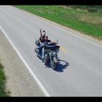 Levi Bond - Facebook