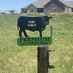 Levi Bond - Facebook
