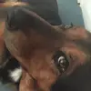 levi.bond55 - @levi.bond55 - TikTok