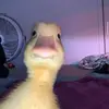 Levi Bowers - @levi.bowers17 - TikTok