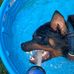 Levi Bowman - Facebook