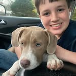 Levi Ridley Brock - @leviridleybrock - Instagram
