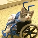 Levi Buchanan - Facebook
